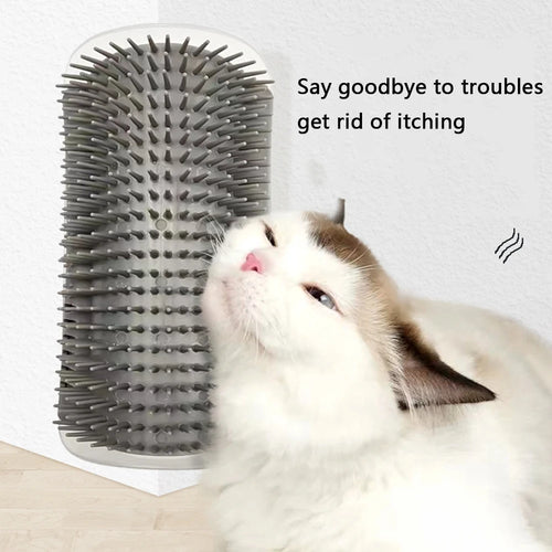 Cat Grooming Corner