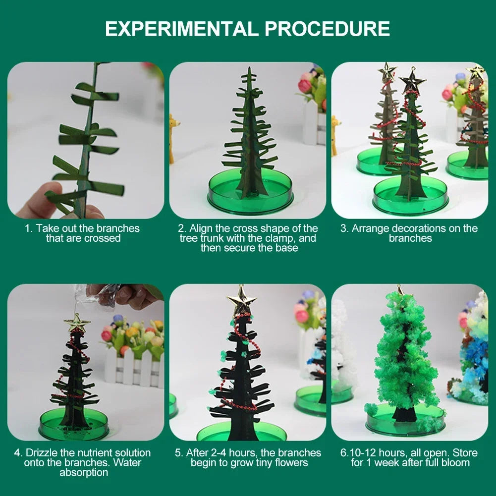 Magic Growing Christmas Tree