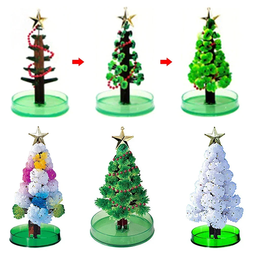 Magic Growing Christmas Tree