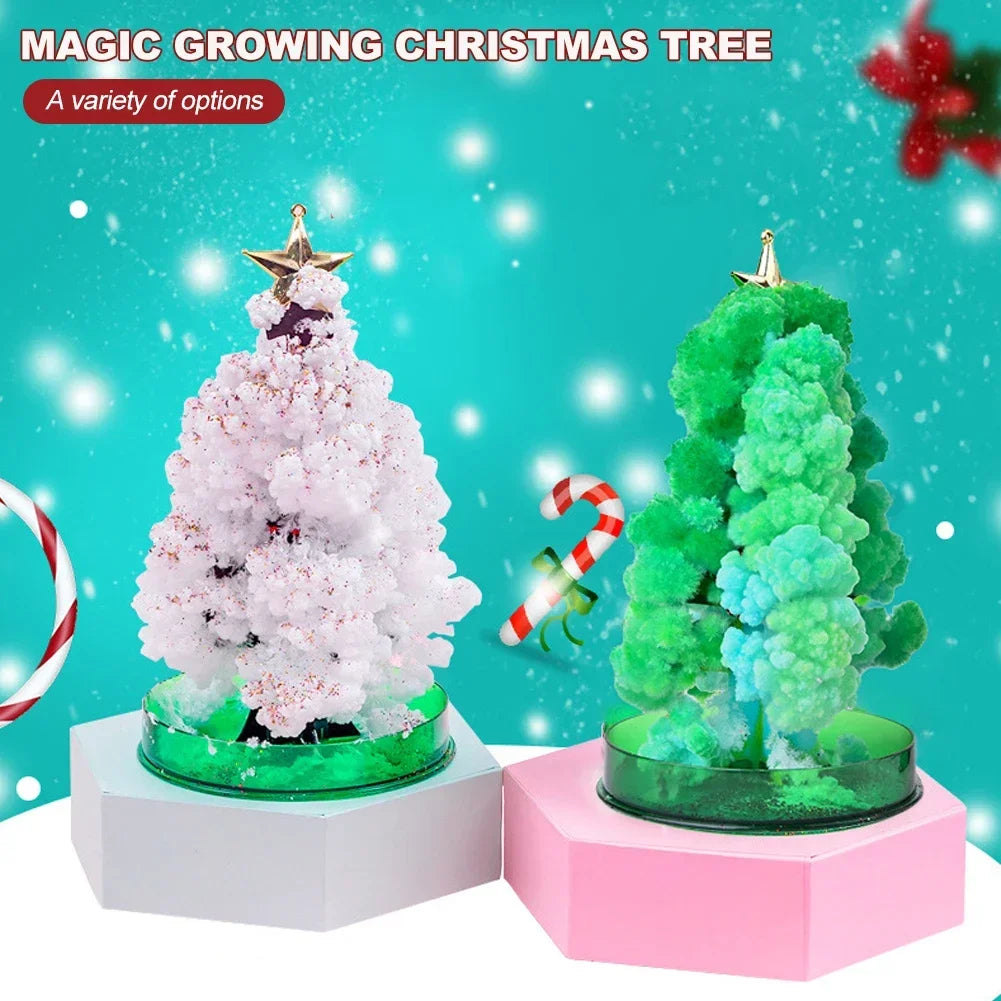 Magic Growing Christmas Tree