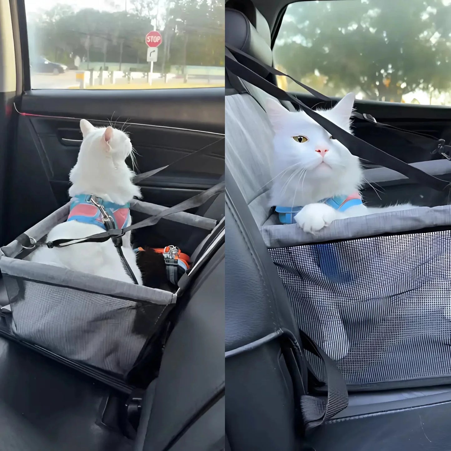 ComfyPaws Car Seat
