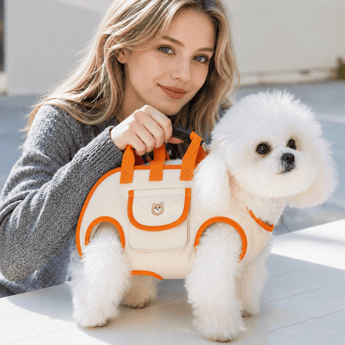 Pet Comfort Harness Set
