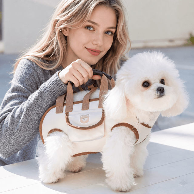 Pet Comfort Harness Set