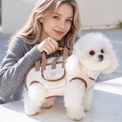 Pet Comfort Harness Set