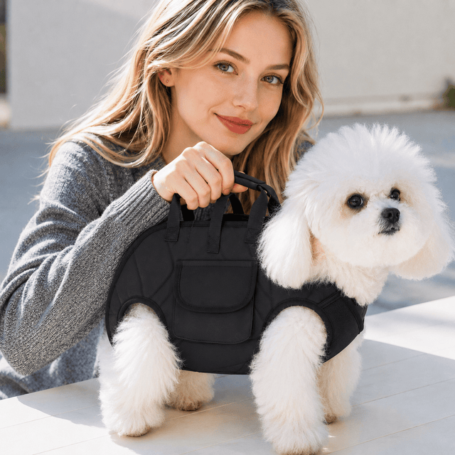 Pet Comfort Harness Set
