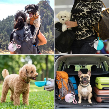 2-in-1 Dog Water Bottle