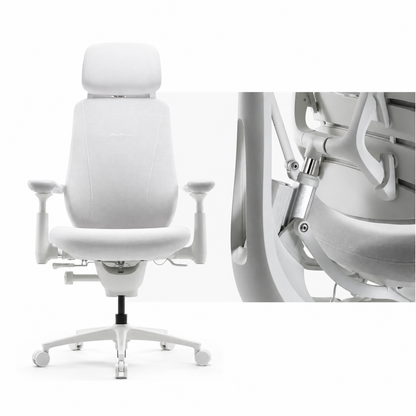 Ergonomic Office Chair