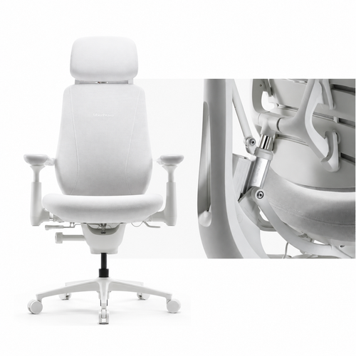 Ergonomic Office Chair