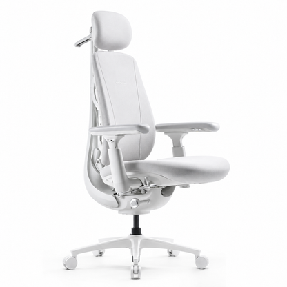 Ergonomic Office Chair
