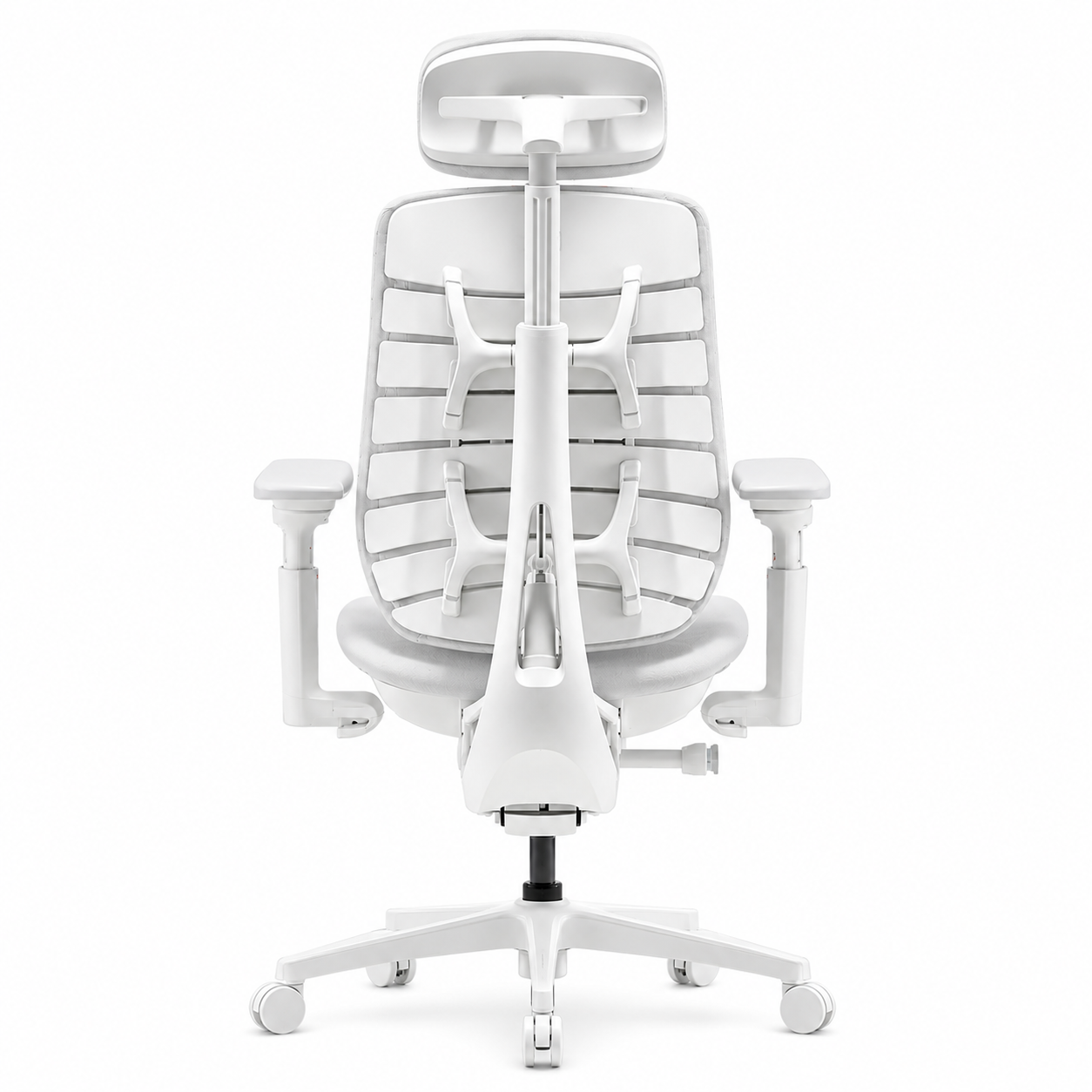 Ergonomic Office Chair