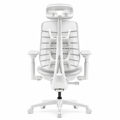 Ergonomic Office Chair