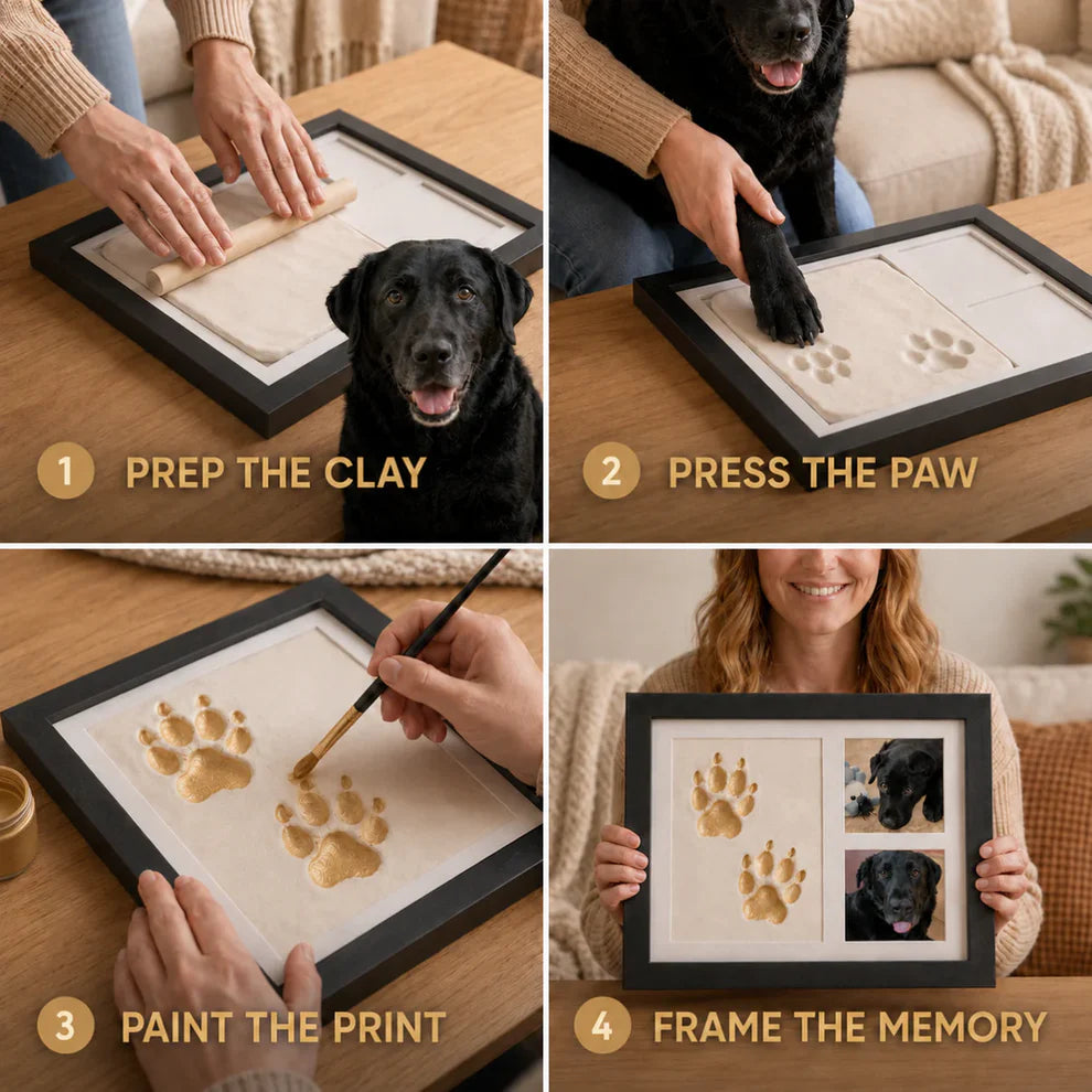 Little Artist Clay Kit