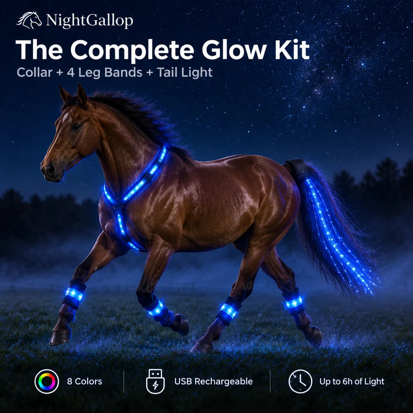GlowRide LED Horse Kit