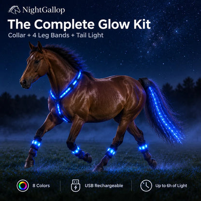 GlowRide LED Horse Kit