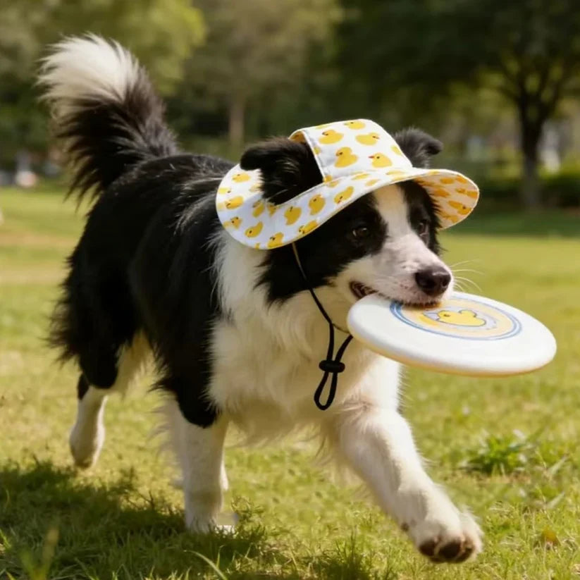 Paw-Friendly Sun Cap