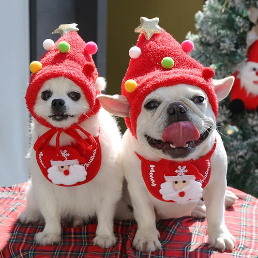 Pet Christmas Hat + Scarf