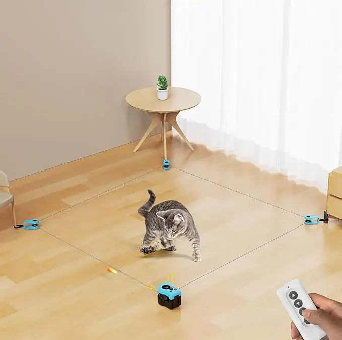 Interactive Cat Treadmill Toy