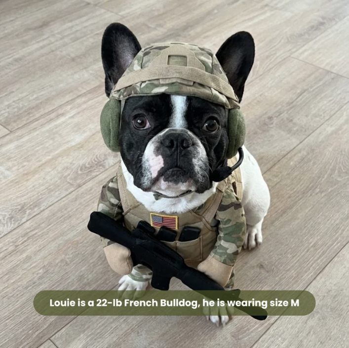Pet Soldier Costume