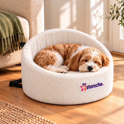 Travel & Rest Dog Bed