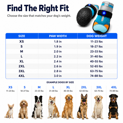 LED Dog Boots