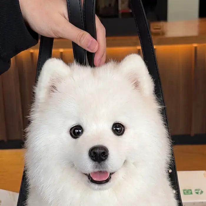 PawPouch Dog Backpack