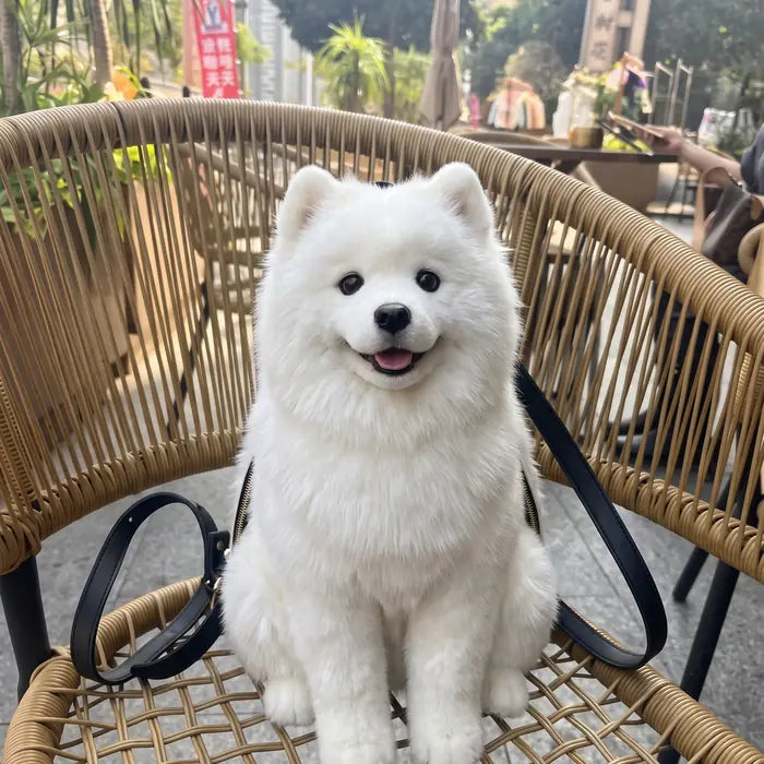 PawPouch Dog Backpack