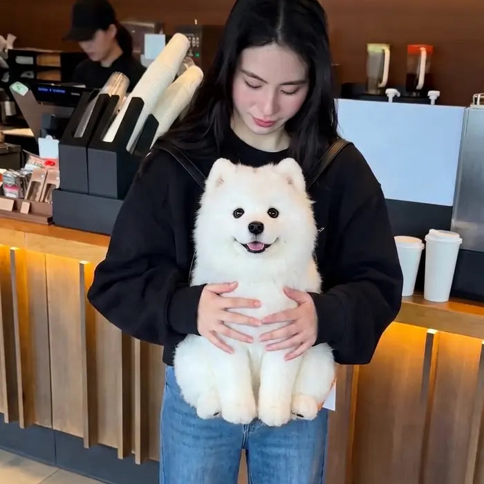 PawPouch Dog Backpack
