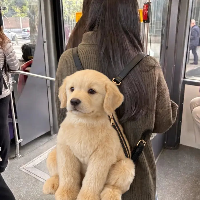 PawPouch Dog Backpack